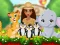 Spel Moana Cute Zoo på nätet