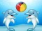 Spel Dolphin Show på nätet