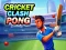 Spel Cricket Clash Pong på nätet