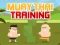Spel Muay Thai Training på nätet