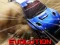 Spel Nitro Rally Evolution på nätet