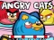 Spel Angry Cats på nätet
