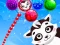 Spel Raccoon Rescue på nätet