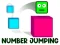 Spel Number Jumping på nätet