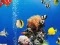 Spel Sea Underwater Difference på nätet