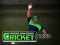 Spel Cricket Fielder Challenge på nätet
