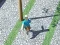 Spel City Run 3D på nätet