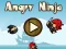 Spel Angry Ninja på nätet