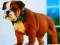 Spel Bulldog Puppy Puzzle på nätet