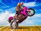 Spel Crazy Wheelie Motorider på nätet