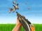 Spel Bird Hunting på nätet
