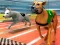 Spel Dogs 3D Races på nätet