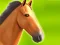 Spel Horse Run 3D på nätet