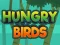 Spel Hungry Birds på nätet
