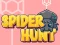 Spel Spider Hunt på nätet