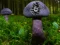 Spel Mushroom Forest Adventure på nätet