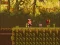Spel The Lost Forest på nätet