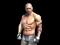 Spel Fight Arena Online på nätet