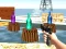 Spel Bottle Shooter games på nätet
