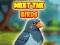 Spel Meet The Birds på nätet