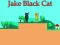 Spel Jake Black Cat på nätet