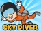 Spel Skydiver på nätet