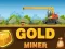 Spel Amazing Gold Miner på nätet