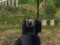 Spel Army Shooter på nätet
