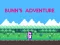 Spel Bunn's Adventure på nätet