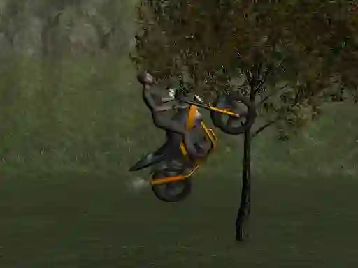 Spel Mountain Bike Rider på nätet