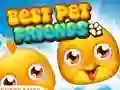 Spel Best Pet Friends på nätet