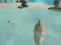 Spel Shark Simulator Beach Killer på nätet