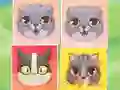 Spel Kitten Match på nätet