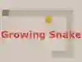 Spel Growing Snake på nätet