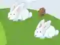 Spel Crazy Eggs på nätet