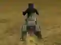 Spel Real Moto Stunts Challenge på nätet