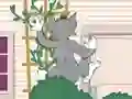 Spel Tom und Jerry: Wasserbomben Wahnsinn på nätet