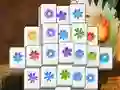 Spel Spring Flower på nätet