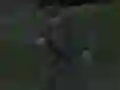 Spel Soviet Sniper på nätet