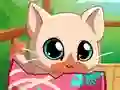 Spel My Pocket Pets Kitty Cat på nätet