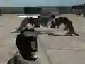 Spel Mech Aggression på nätet