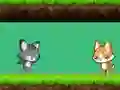 Spel Cat vs Dog på nätet