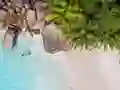 Spel Seychelles Beach Jigsaw Puzzle på nätet