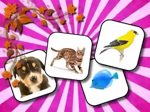 Spel Animals Memory på nätet