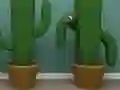 Spel Cactus Cube på nätet