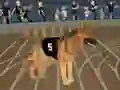 Spel Crazy Dog Racing Fever på nätet