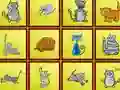 Spel Cats Findiff på nätet