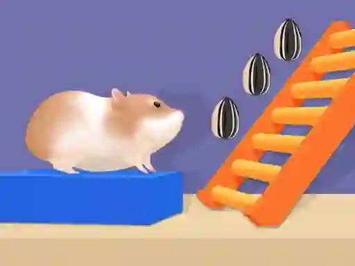 Spel Hamster Stack Maze på nätet