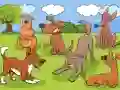 Spel Animals Differences på nätet