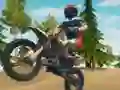 Spel Dirt Bike Enduro Racing på nätet